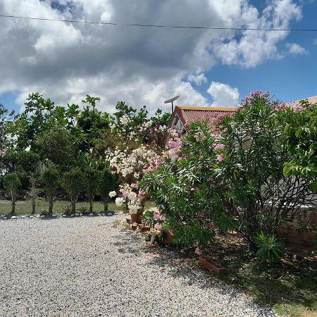 Le Diamant Charmante Villa Pour La Famille Ou Entre Amis Spa Et Piscine Ngoại thất bức ảnh